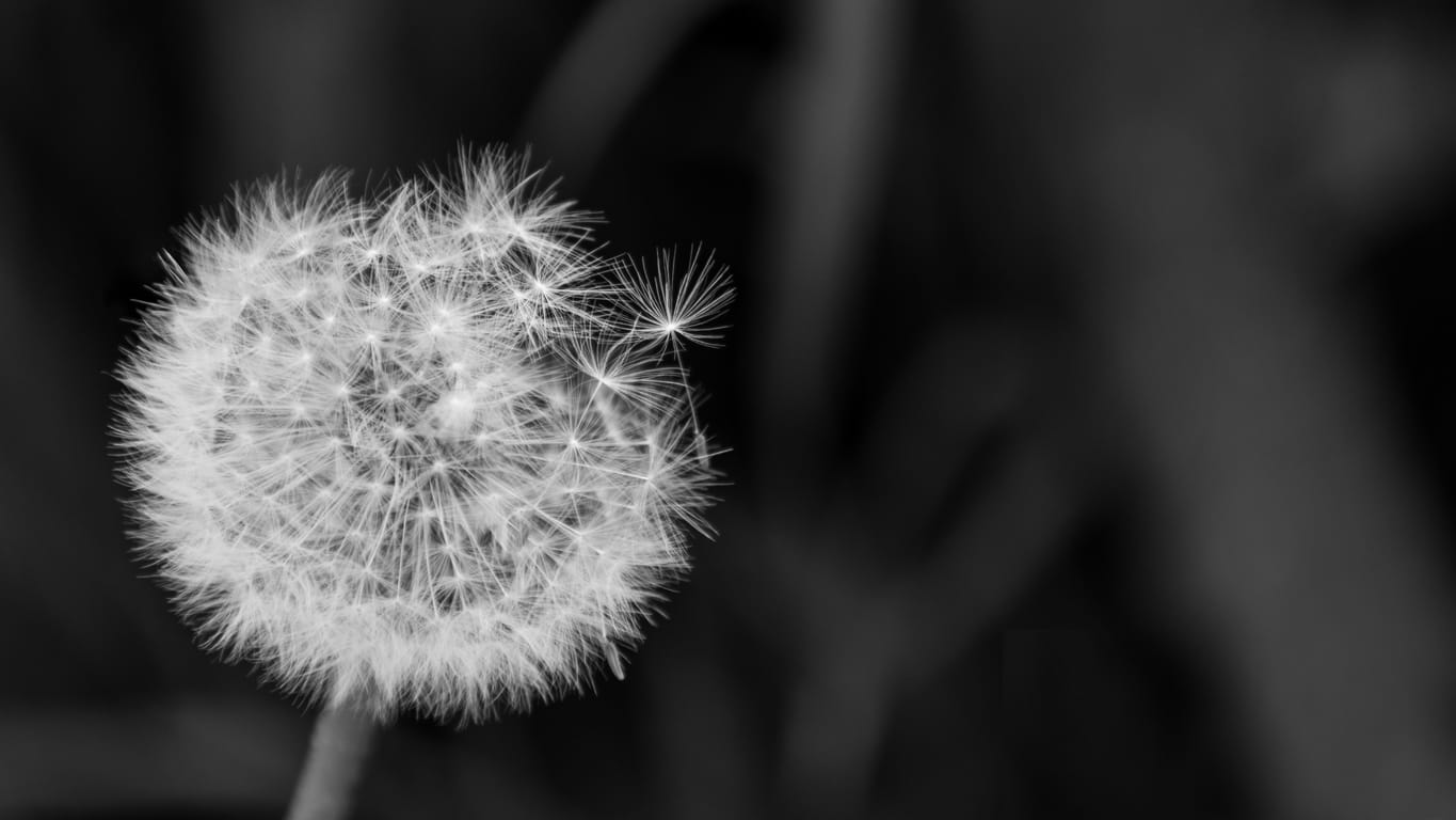 A Prayer: Another School Shooting