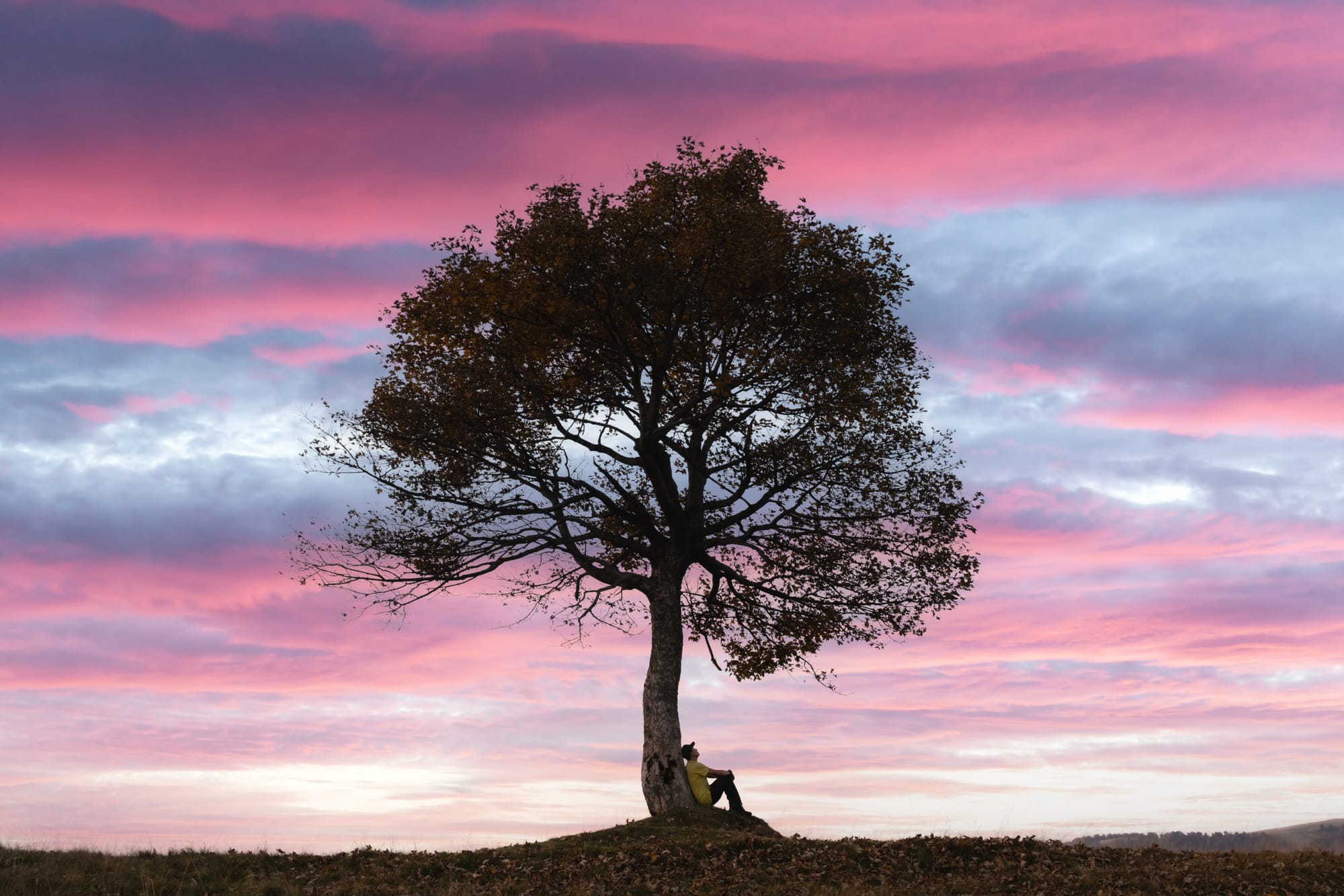 The Liberating Nature of ReEmbracing My Calling