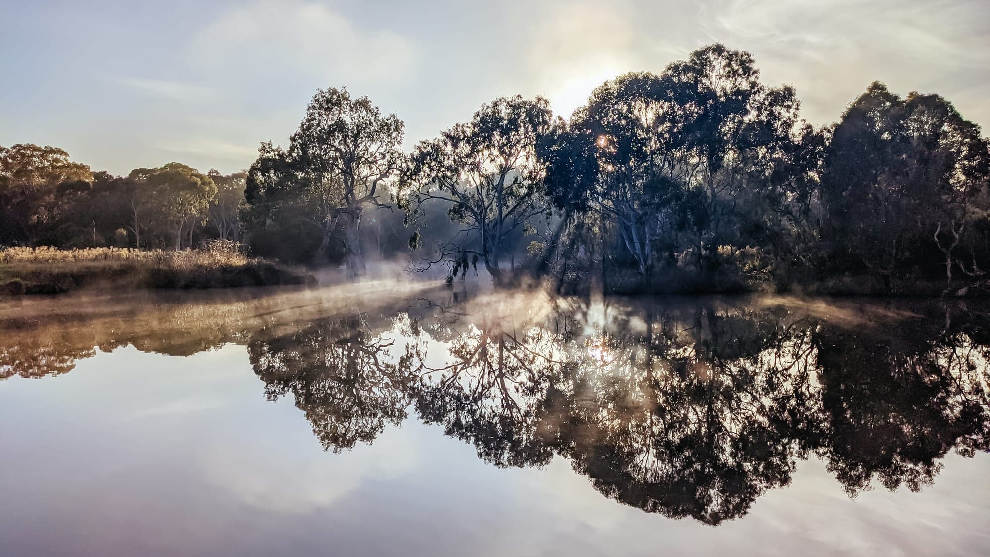 Negativity No Longer Exhausts Me