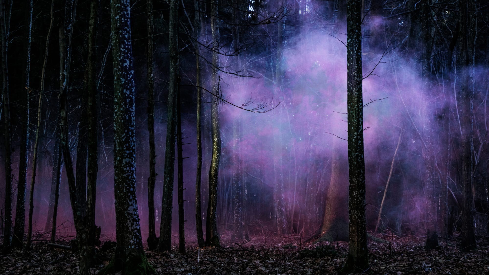 Story Time, "The Snipe"