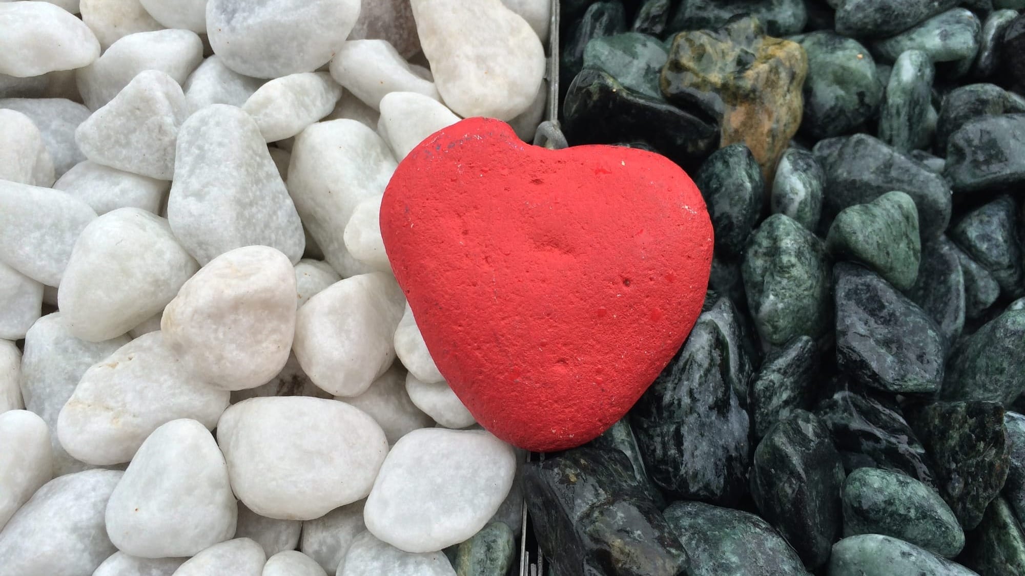 For Empathy During a Time of War #LetUsPray